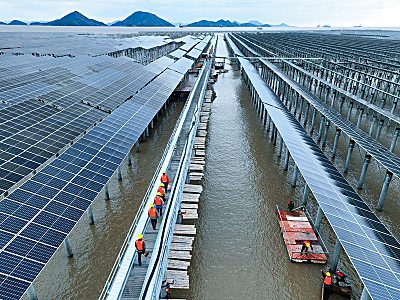 加快引导退役光伏组件绿色高效回收利用