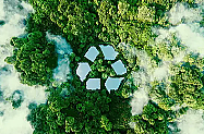 全国碳市场推进有偿分配：激活市场机制助力“双碳”目标