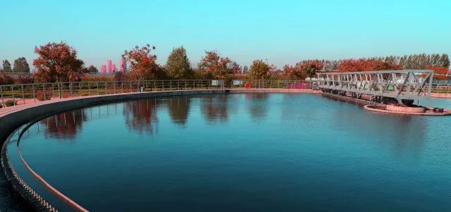 循环经济让“落后产能”绿起来 ——访河北省保定市高阳县委书记高文才(图1)