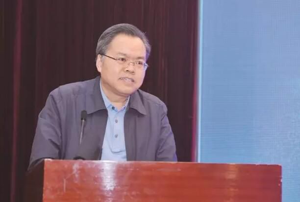 专访|高云虎：长江经济带工业绿色发展有了明确指引 上中下游产业转移定位清晰(图1)