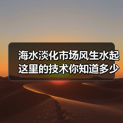 海水淡化市场风生水起 这里的技术你知道多少？（图4）