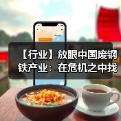 【行业】放眼中国废钢铁产业：在危机之中找到生机（图4）