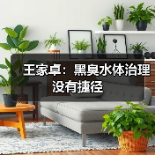王家卓:黑臭水体治理没有捷径(图3) 王家卓:黑臭水体治理没有捷径(图3)