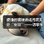 便捷的填埋造成污泥无处“安放”——访华宝技术总监崔娜（图4）