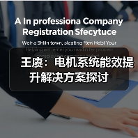 王赓:电机系统能效提升解决方案探讨(图3) 王赓:电机系统能效提升解决方案探讨(图3)