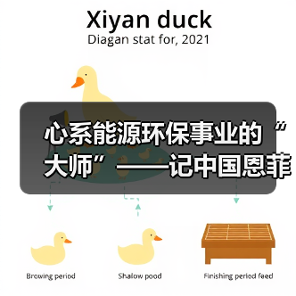 心系能源环保事业的“大师”——记中国恩菲能源环境事业部主任工程师鲍化坤(图2) 心系能源环保事业的“大师”——记中国恩菲能源环境事业部主任工程师鲍化坤(图2)