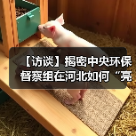 【访谈】揭密中央环保督察组在河北如何“亮剑”?(图2) 【访谈】揭密中央环保督察组在河北如何“亮剑”?(图2)