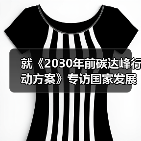 就《2030年前碳达峰行动方案》专访国家发展改革委负责人（图1）