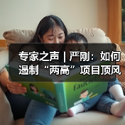 专家之声 | 严刚：如何遏制“两高”项目顶风上马（图1）