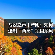 专家之声 | 严刚：如何遏制“两高”项目顶风上马（图3）