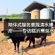 陪伴式服务重现清水绿岸——专访临沂黑臭水体治理示范城市建设项目驻场技术咨询团队负责人赵祥（图2）