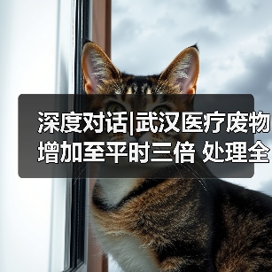 深度对话|武汉医疗废物增加至平时三倍 处理全程“不落地”(图4) 深度对话|武汉医疗废物增加至平时三倍 处理全程“不落地”(图4)