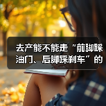 去产能不能走“前脚踩油门、后脚踩刹车”的老路（图4）
