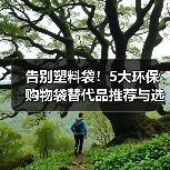 告别塑料袋！5大环保购物袋替代品推荐与选购指南（图4）