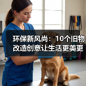 环保新风尚：10个旧物改造创意让生活更美更绿色（图4）