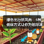 绿色出行新风尚：5种低碳方式让你为地球减负（图2）