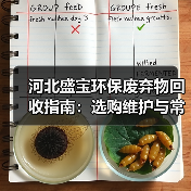 河北盛宝环保废弃物回收指南:选购维护与常见问题解析(图4) 河北盛宝环保废弃物回收指南:选购维护与常见问题解析(图4)