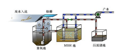 水处理技术革命：MBR生物反应器的创新应用与未来展望(图2)