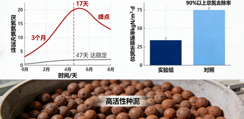 难怪!污水处理“卡脖子”难题被攻克,污泥变废为宝成降碳利器(图1) 难怪!污水处理“卡脖子”难题被攻克,污泥变废为宝成降碳利器(图1)