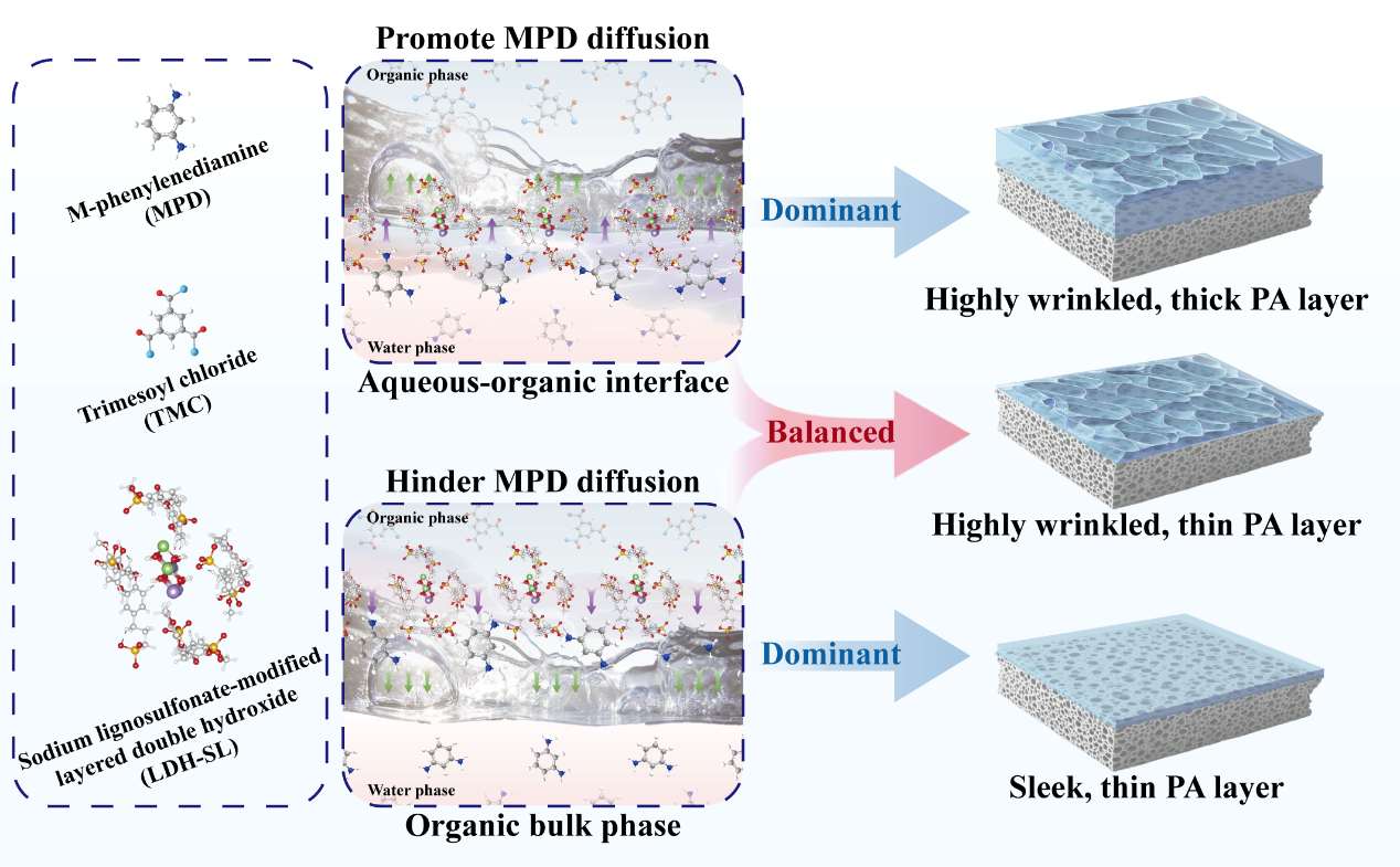 震惊!《自然·通讯》刊登反渗透膜突破性研究:中国团队实现水处理性能极限突破!(图1) 震惊!《自然·通讯》刊登反渗透膜突破性研究:中国团队实现水处理性能极限突破!(图1)