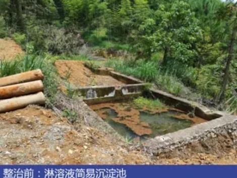 2025年新手必读：污染治理成功案例及5个实用步骤(图1)