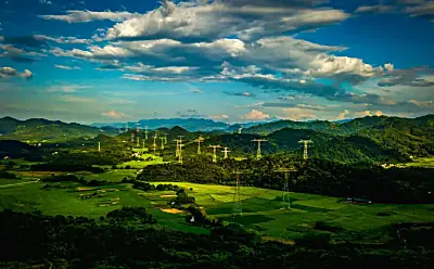 碳市场竟然让企业减排越多收益越多,背后藏着怎样的财富密码? 碳市场竟然让企业减排越多收益越多,背后藏着怎样的财富密码?